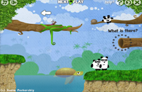 3 Pandas