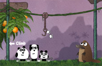3 Pandas 2