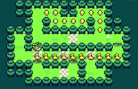 Duck Waddle